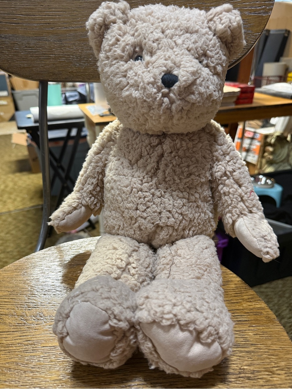 Pottery Barn Kids StJude Beige Teddy Bear Decorative Accent